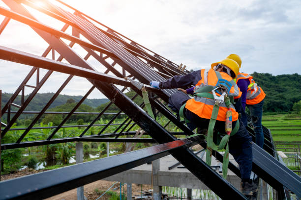 Best Roof Gutter Cleaning  in Shafer, MN