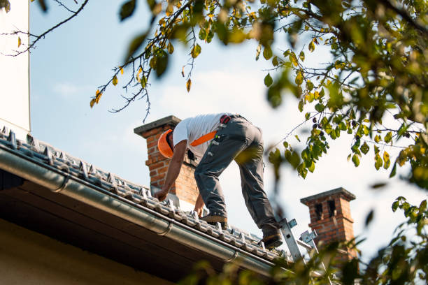Best Roof Waterproofing Services  in Shafer, MN