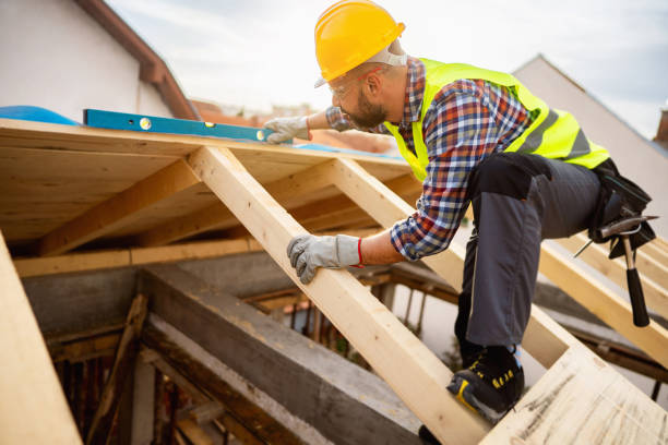 Roof Gutter Cleaning in Shafer, MN
