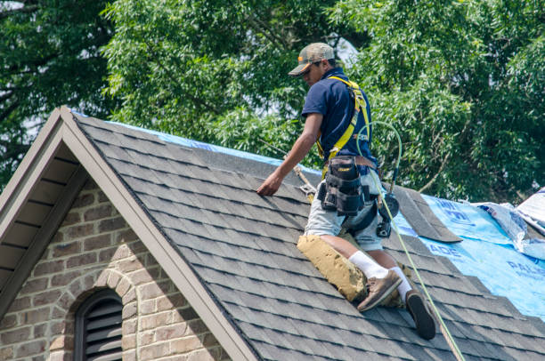 Best New Roof Installation  in Shafer, MN
