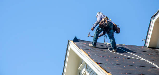 Best Best Roofing Contractors  in Shafer, MN